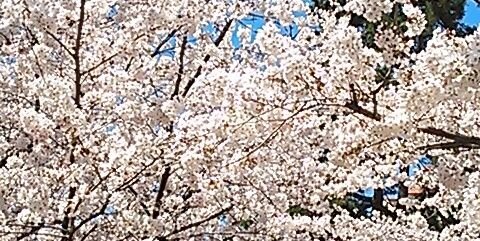 sunkasunto's profile banner image