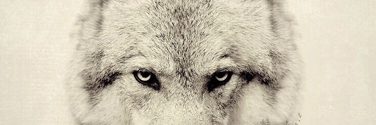 _Hamilcar's profile banner image