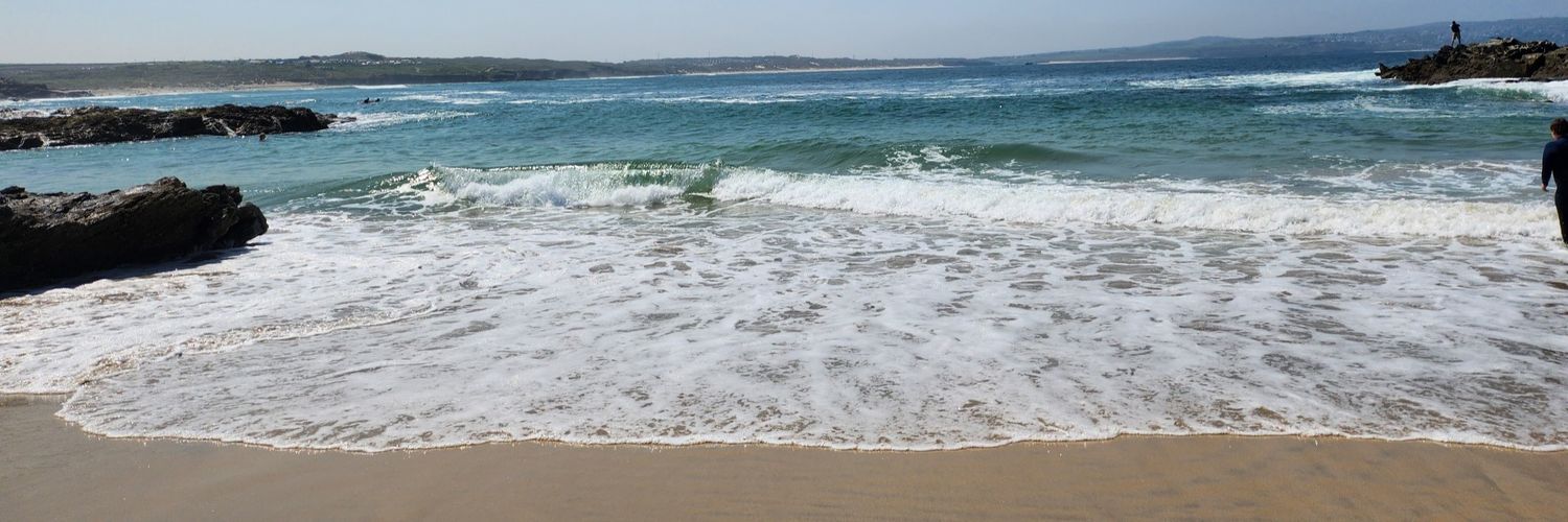 Siobhan Profaska banner