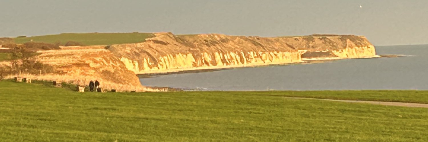 Alison 💙🍃💚🏉🏏 banner