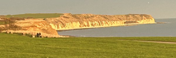 AlisonFlp1 Profile Banner