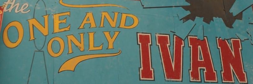 Ivan Zullo banner