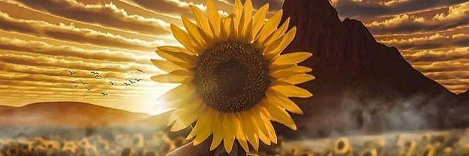 _jeanc17's profile banner image