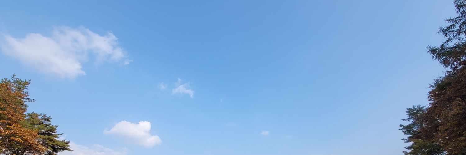 stbice's profile banner image