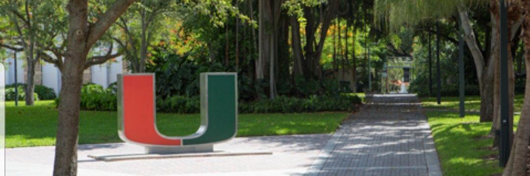 Christibarci's profile banner image