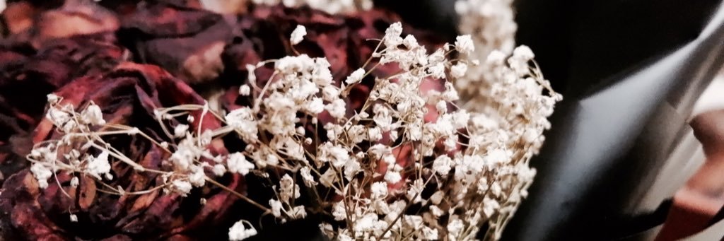 llaidonea_'s profile banner image