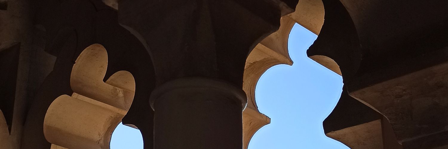 celiacano_'s profile banner image