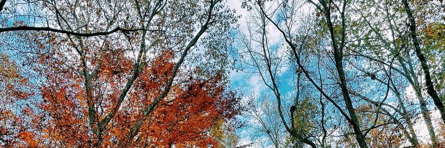 KoonJesse's profile banner image