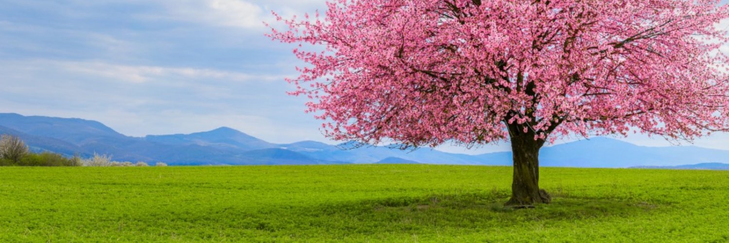 Tad_Dreyer's profile banner image