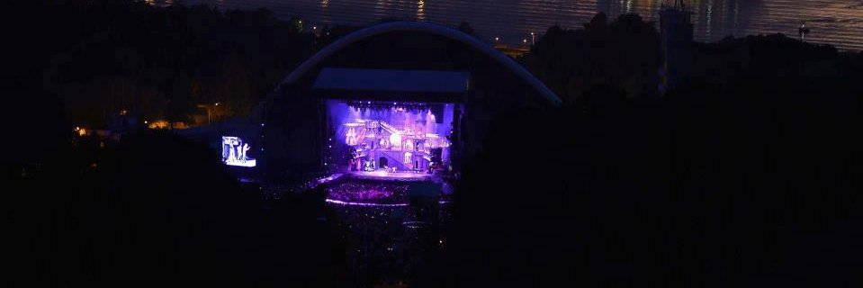 🐝☔️☂️ Noemi Szucs ⭐️ banner