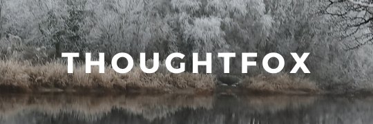 Thoughtfox banner