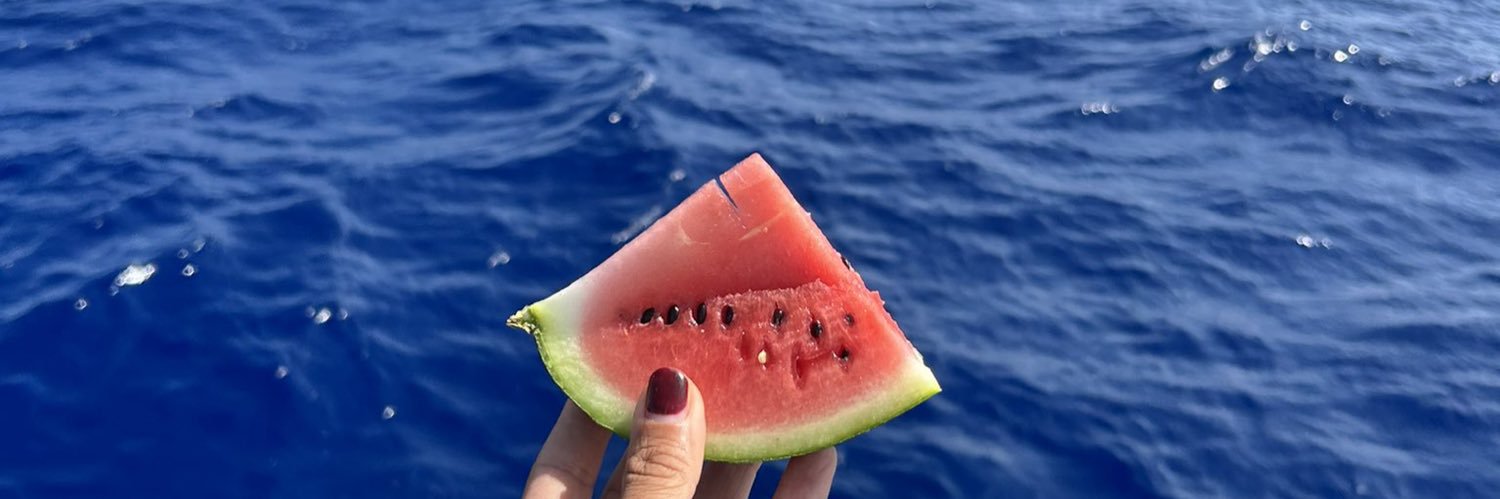 ValReve (d’un monde meilleur)🐝 🍉 banner