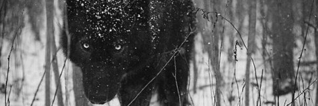 g_karr10's profile banner image