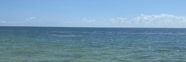 taylorb3345 Profile Banner