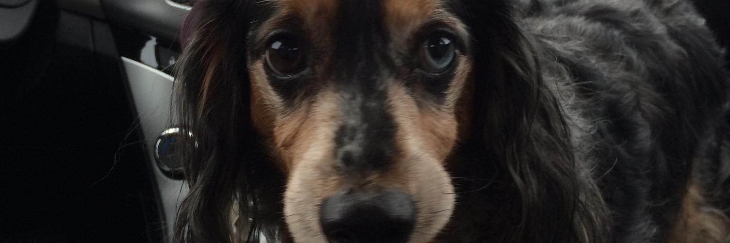 Rckster's profile banner image