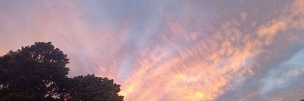 Lorennluna Profile Banner