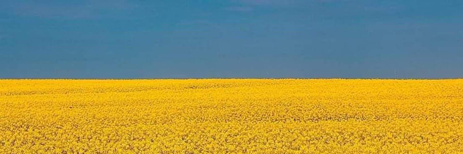 HPBeck banner