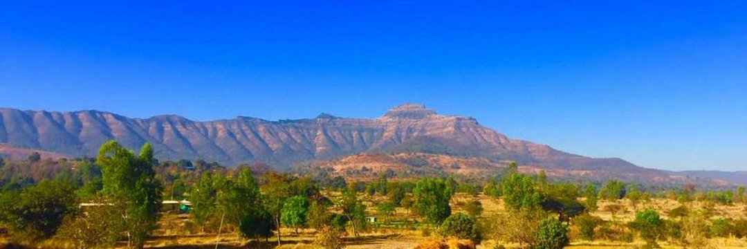 फणसे पाटील's banner