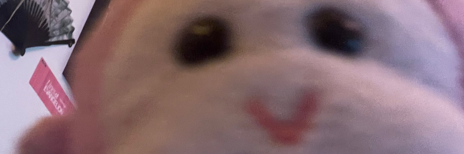 maxli banner