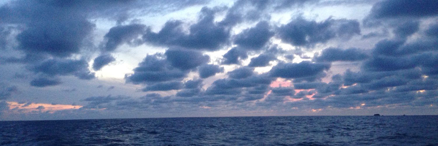 lix8826's profile banner image