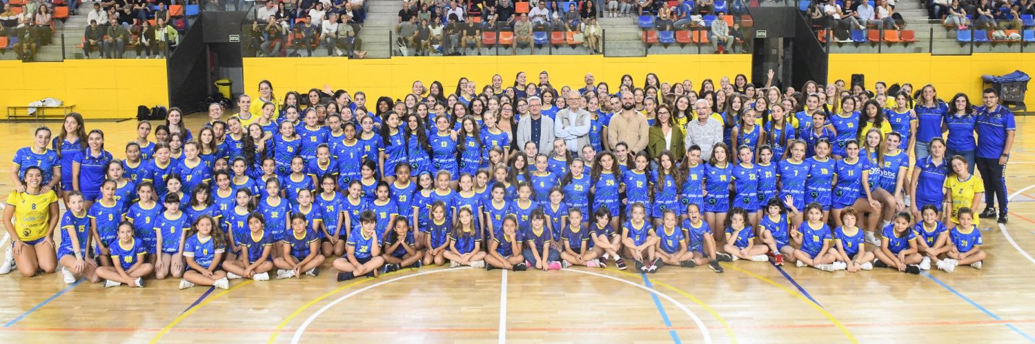 Club Volei Esplugues banner