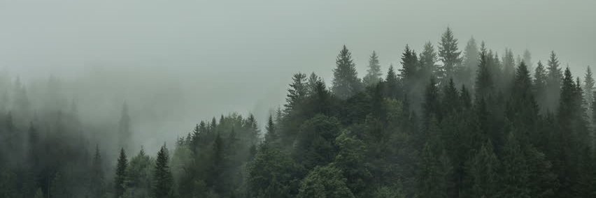 Stratt banner