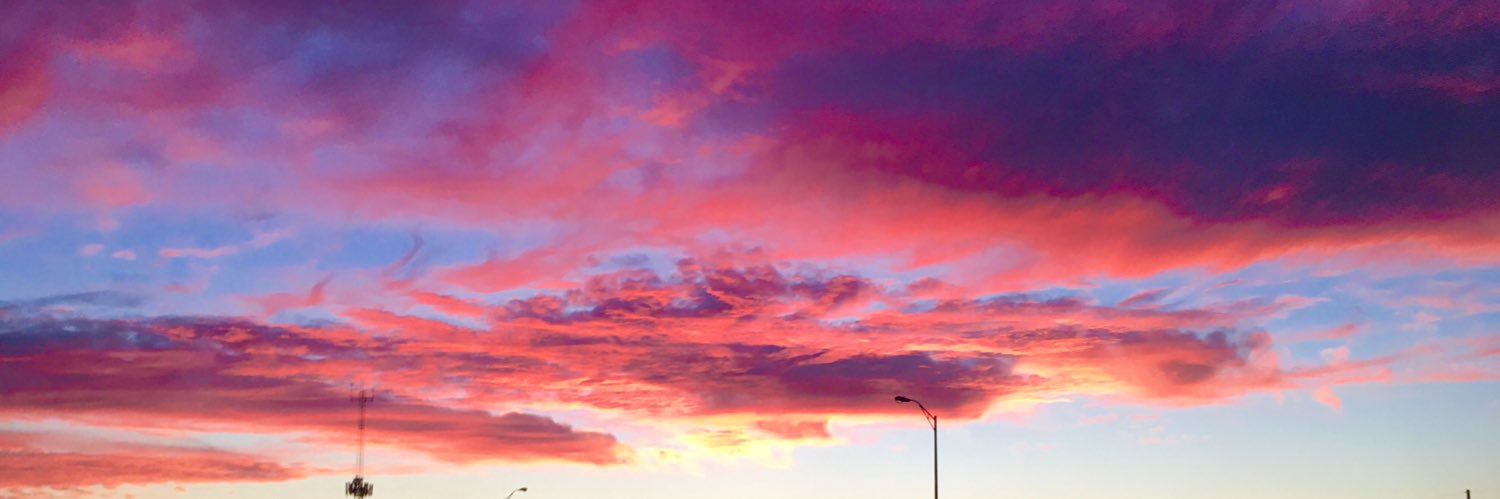 Peri Rogowski banner