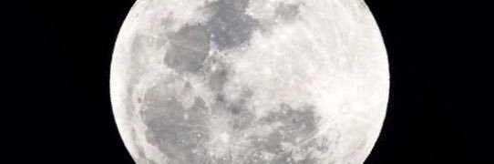 ريان زهراني banner