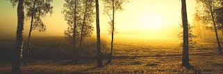LeninR20's profile banner image