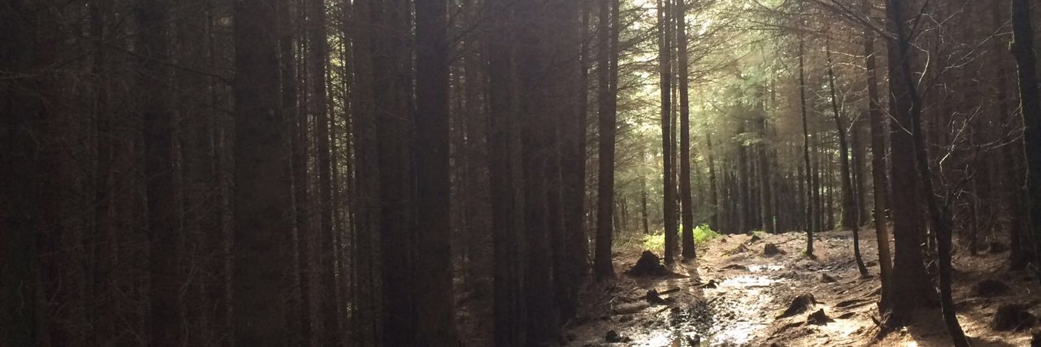 LTelleck's profile banner image