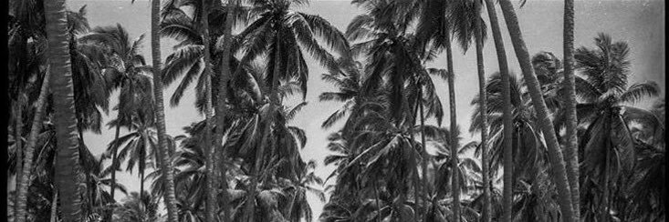 Jack Allison banner