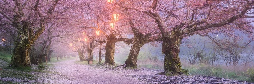 AlexFilCot93's profile banner image
