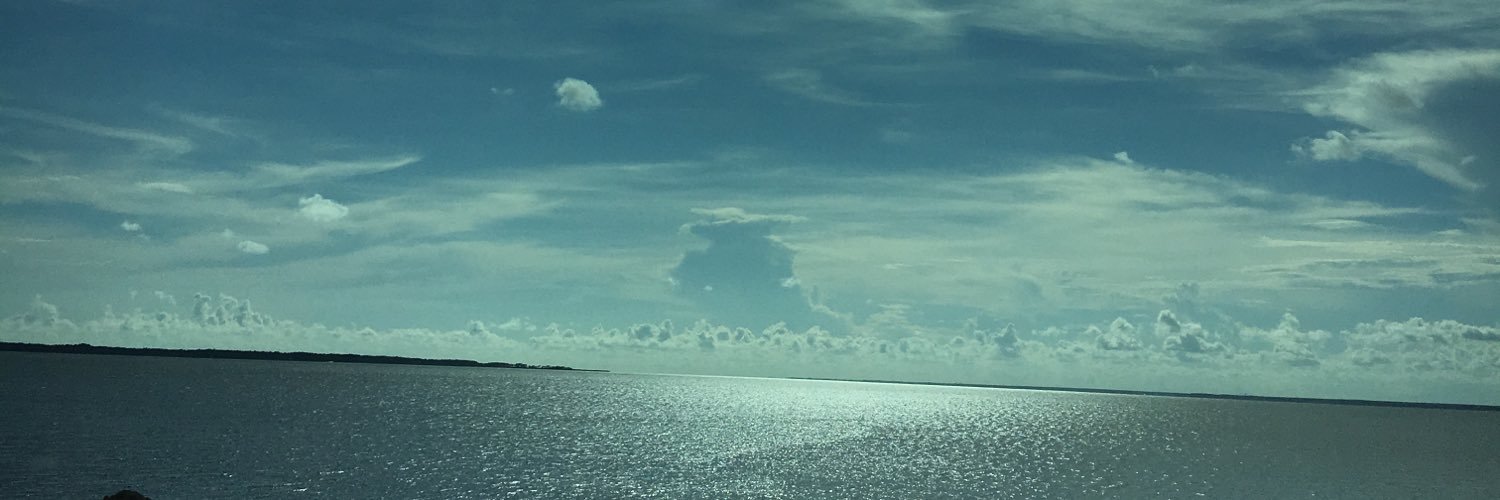 ShaikunAmy's profile banner image