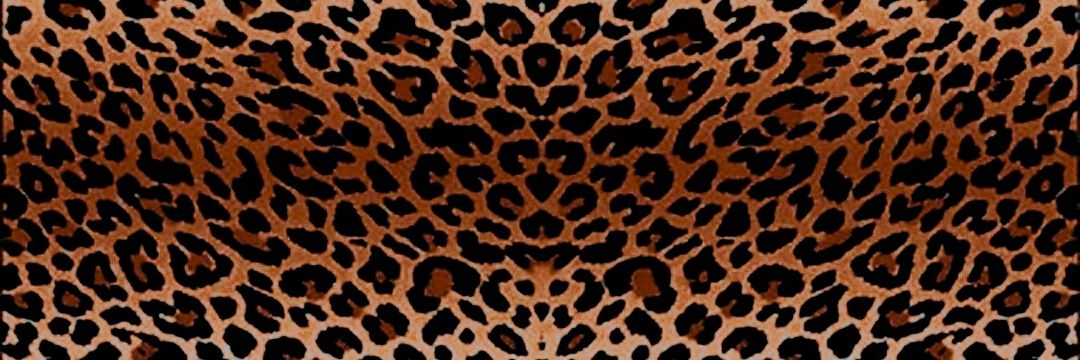 ◜💢 𝗟𝘂𝗰𝗮𝘀 banner