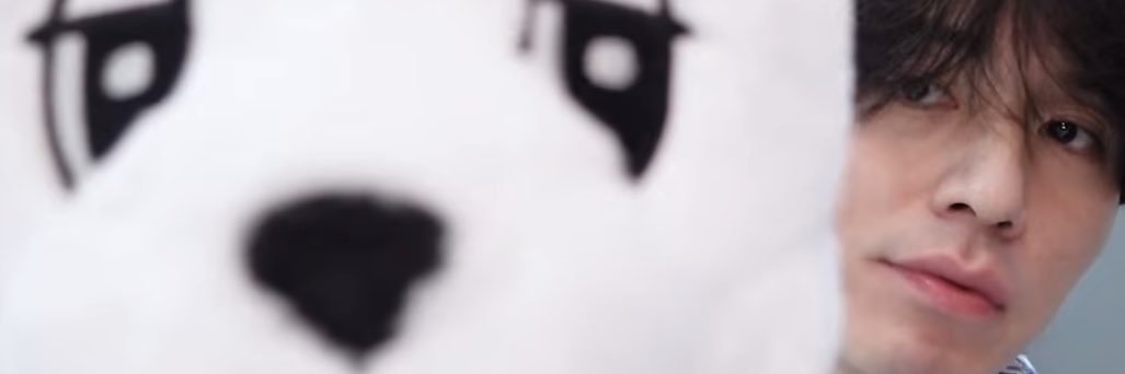 dan banner
