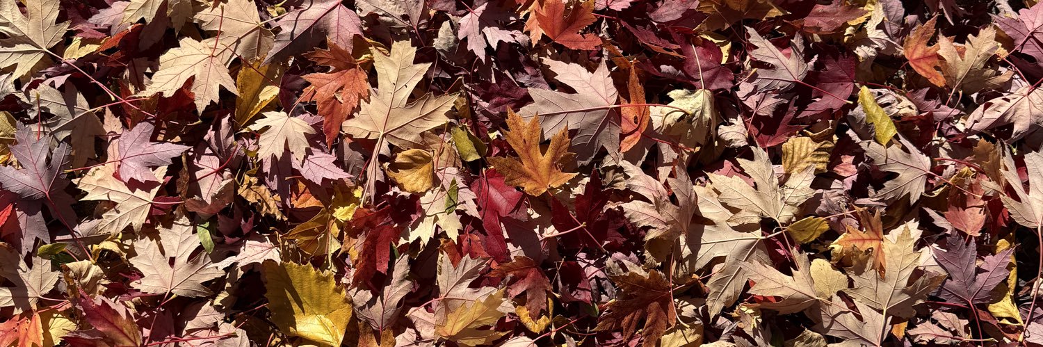 the Muffin Man banner