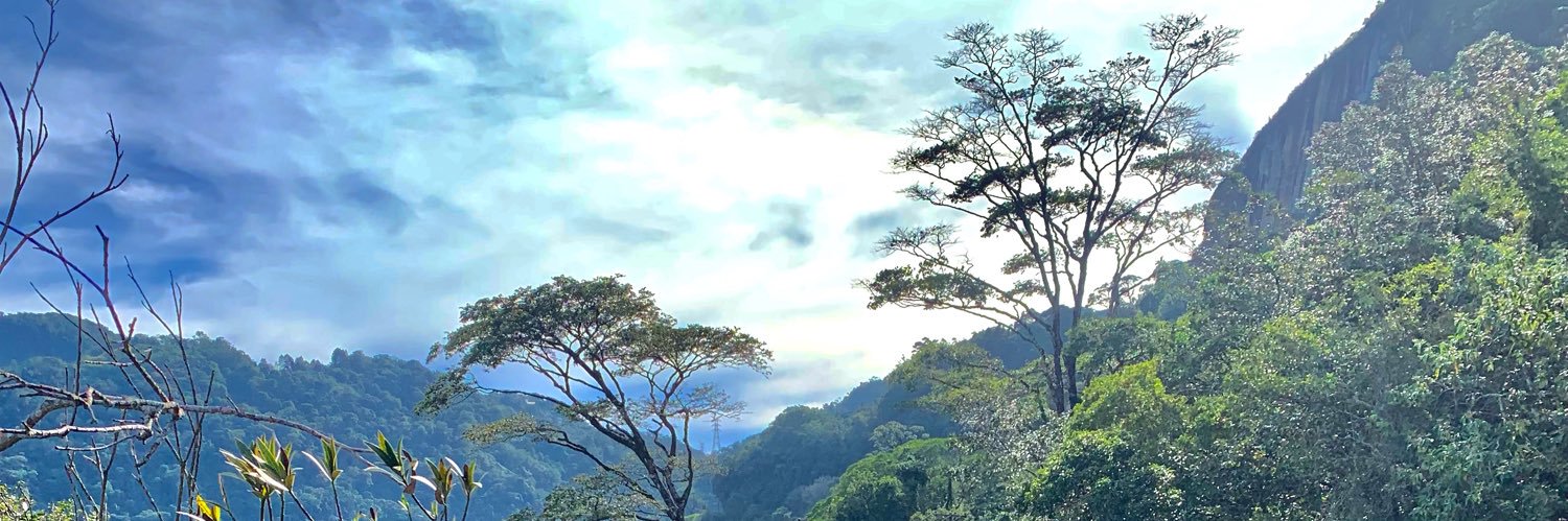 valeriagiullia1's profile banner image