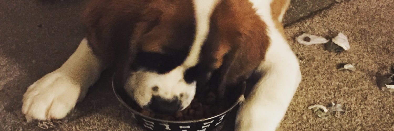 spamsonbrooke's profile banner image