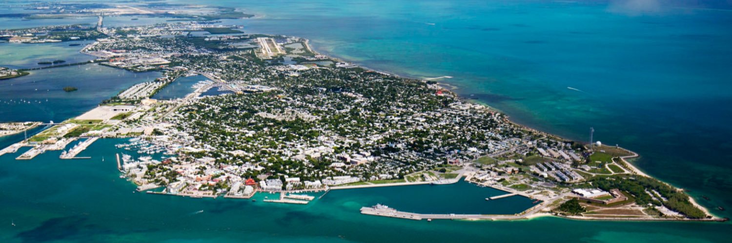 msdctinkw's profile banner image