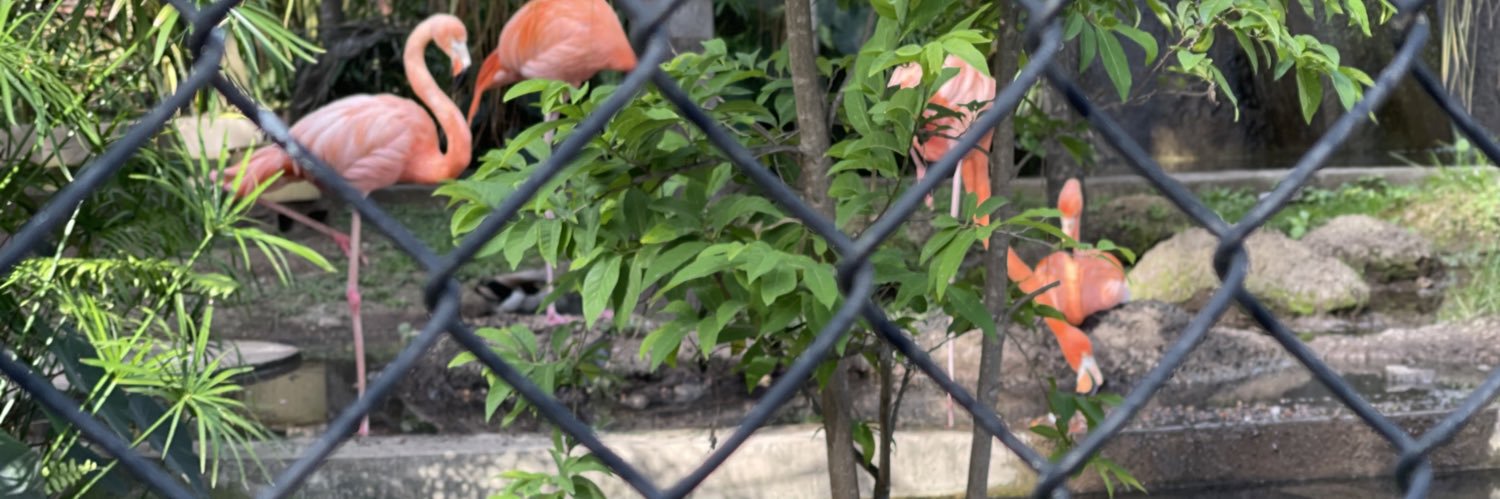 HoneeyBadgerLover banner