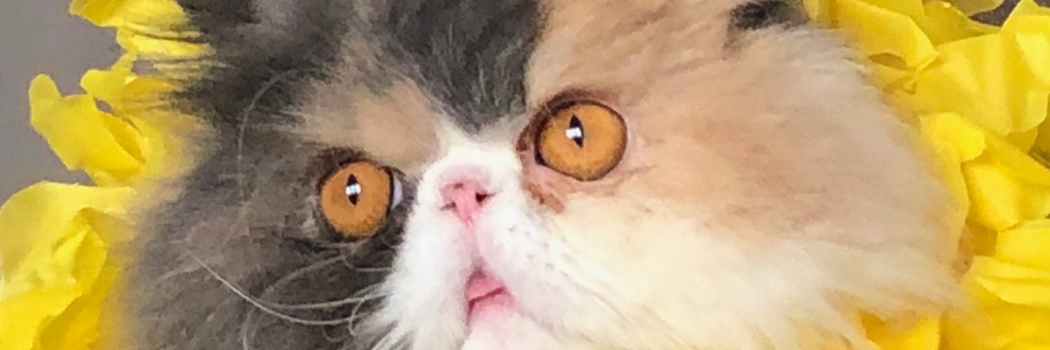 GUERRY24's profile banner image