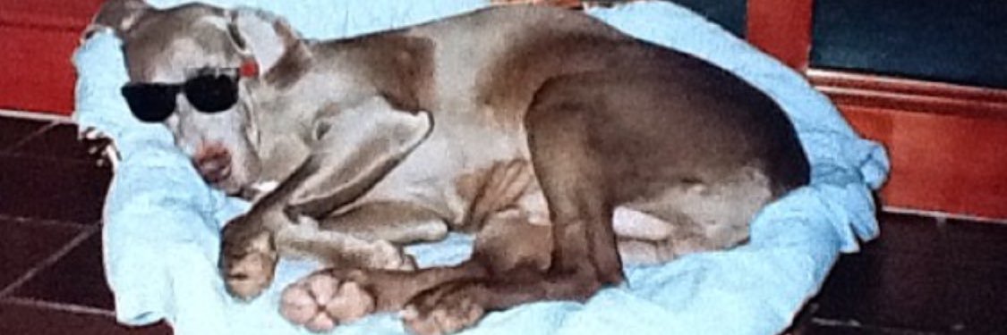 kurtbrah's profile banner image