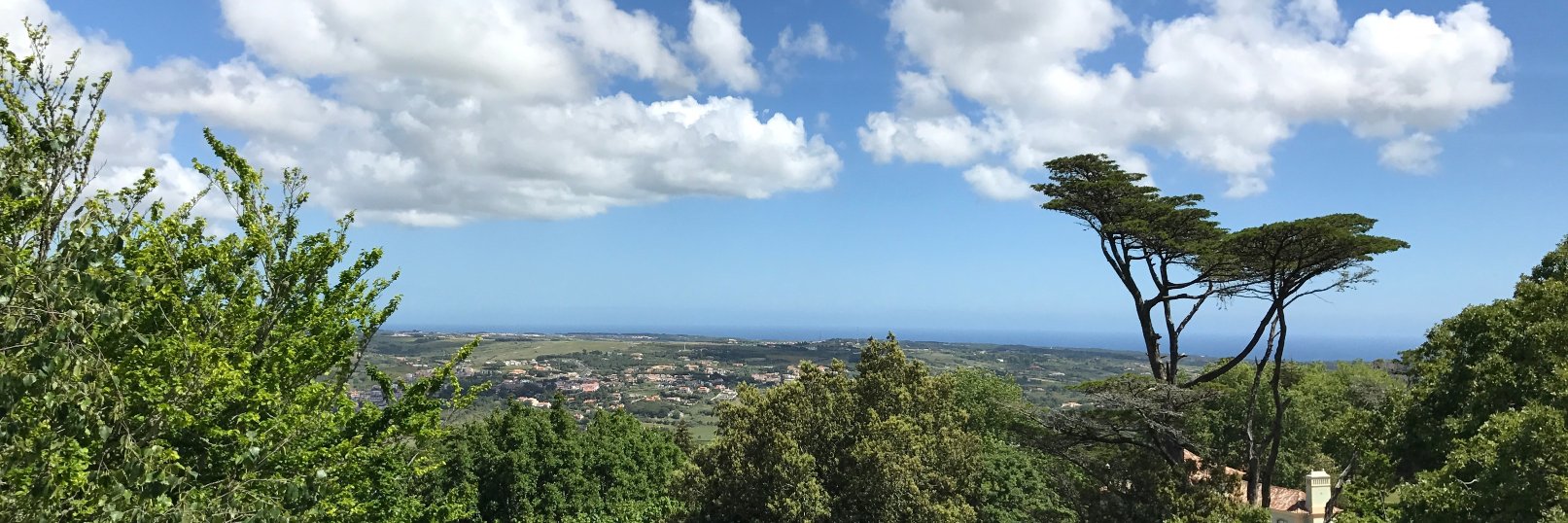 Dimana Doneva banner