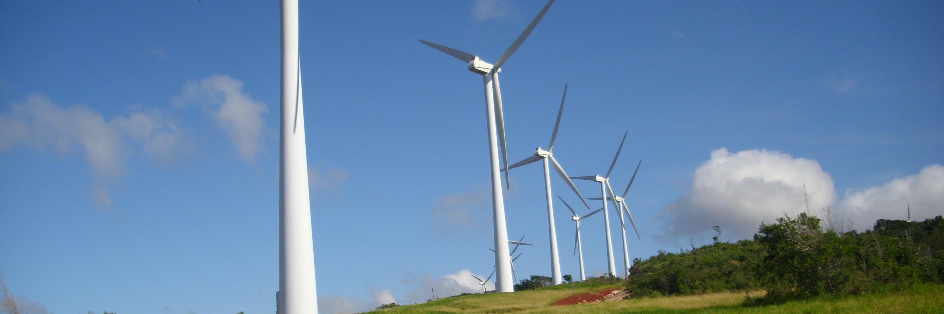 Mr Aromatic 🇯🇲 banner