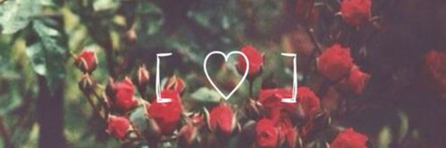 AlternoAmor's profile banner image