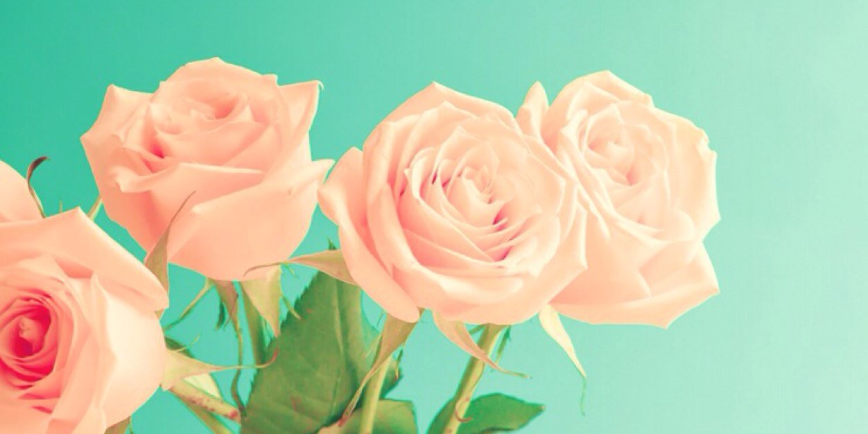 graciela_chen's profile banner image