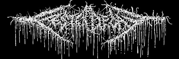 FesterDecay Profile Banner