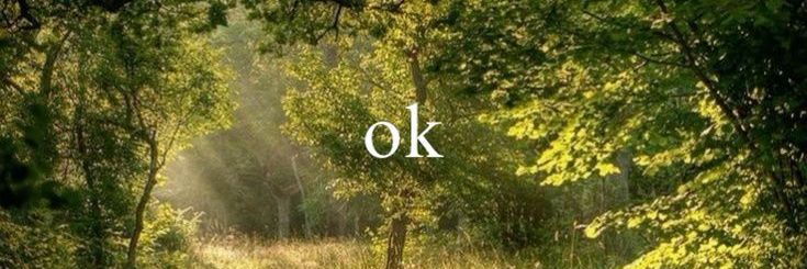 ⊹Mich 🇦🇷 banner