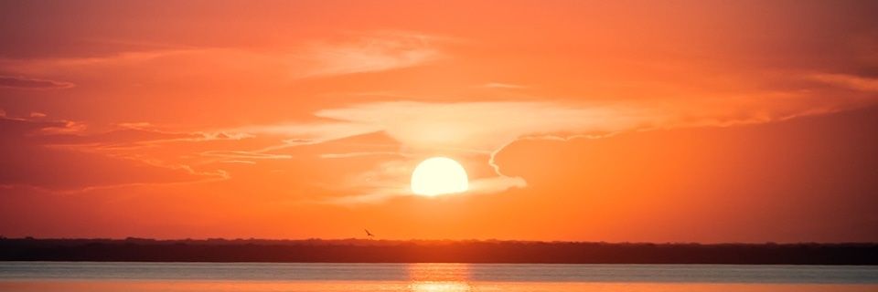 AndersonViudes's profile banner image
