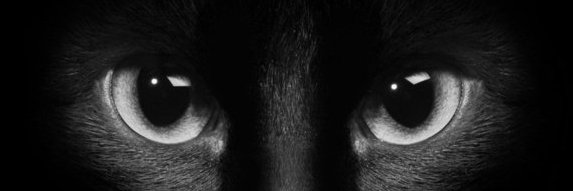 VTat2010's profile banner image